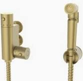 Douche Kit With TMV and Brass Bodied Spray (Brushed Brass)