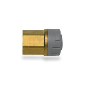 Polyplumb Enhanced 15mm x 3/4 Inch Female Inch BSP Adaptor