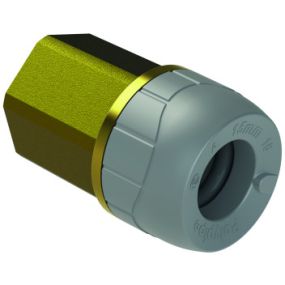 Polyplumb Enhanced 15mm x 1/2 Inch Female Inch BSP Adaptor