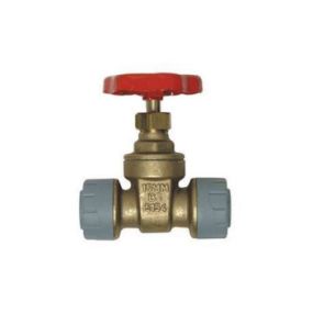 Polyplumb Enhanced 22mm Gate Valve Brass