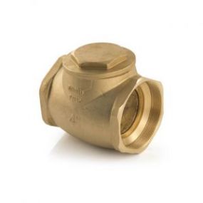 1/2" Swing Check Valve