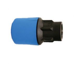 JG Speedfit Female Adaptors Inch BSP