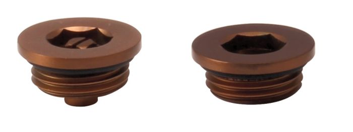 LeoNova Vent and Plug Set (26mm Cap) (1/2 Inch BSP) (Brushed Bronze)