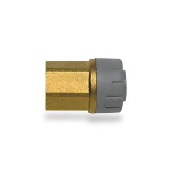 Polyplumb Enhanced 22mm x 3/4 Inch Female Inch BSP Adaptor